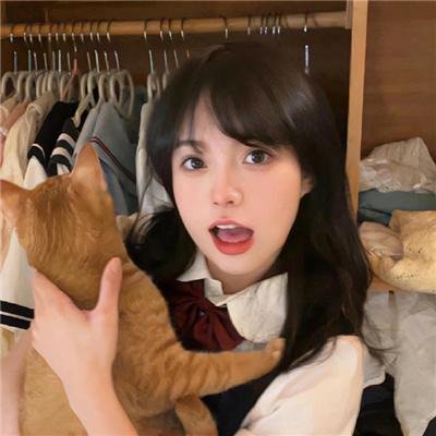 鳄鱼先生